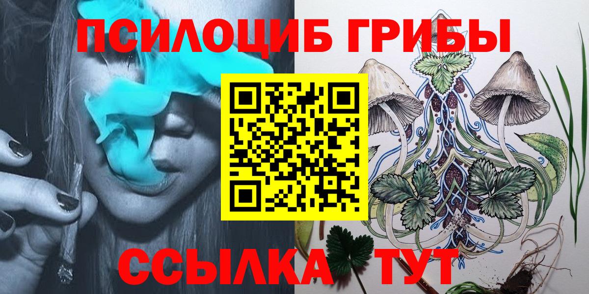 Псилоцибиновые грибы Psilocybe Златоуст