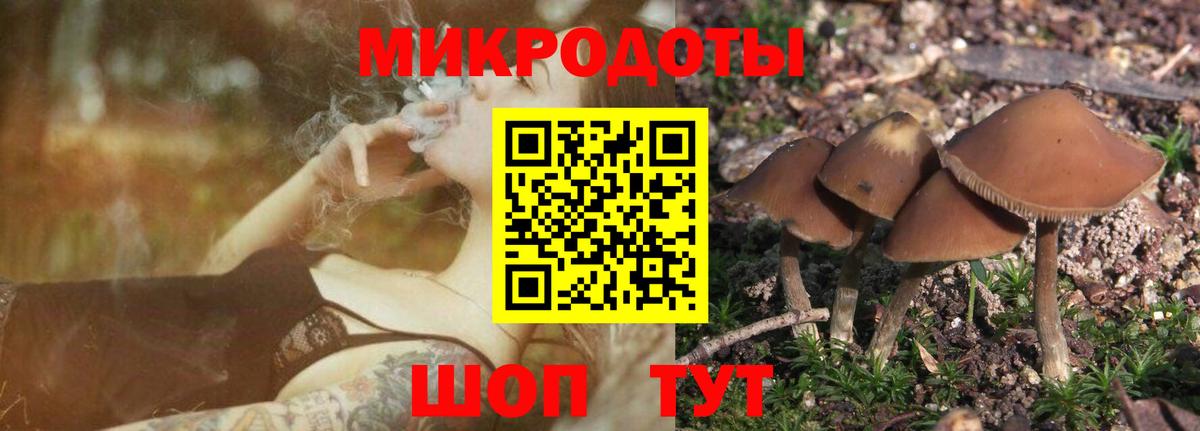 Псилоцибиновые грибы GOLDEN TEACHER  Галлюциногенные грибы Magic Shrooms  Вход с VPN  Златоуст 